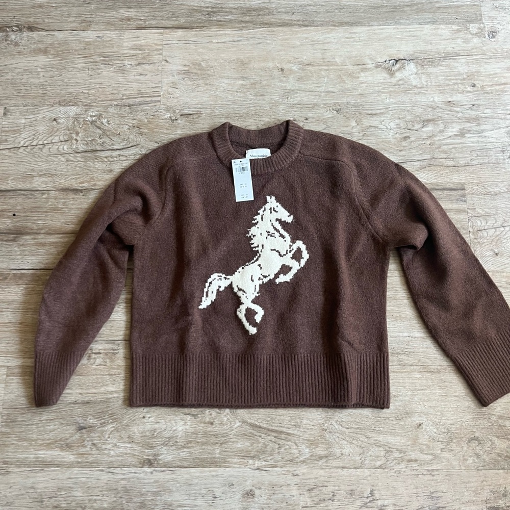 Abercrombie & Fitch Western Sweater NWT XS